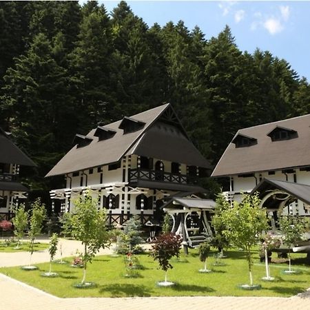 Complex Lions Bucovina Ξενοδοχείο Voronet Εξωτερικό φωτογραφία
