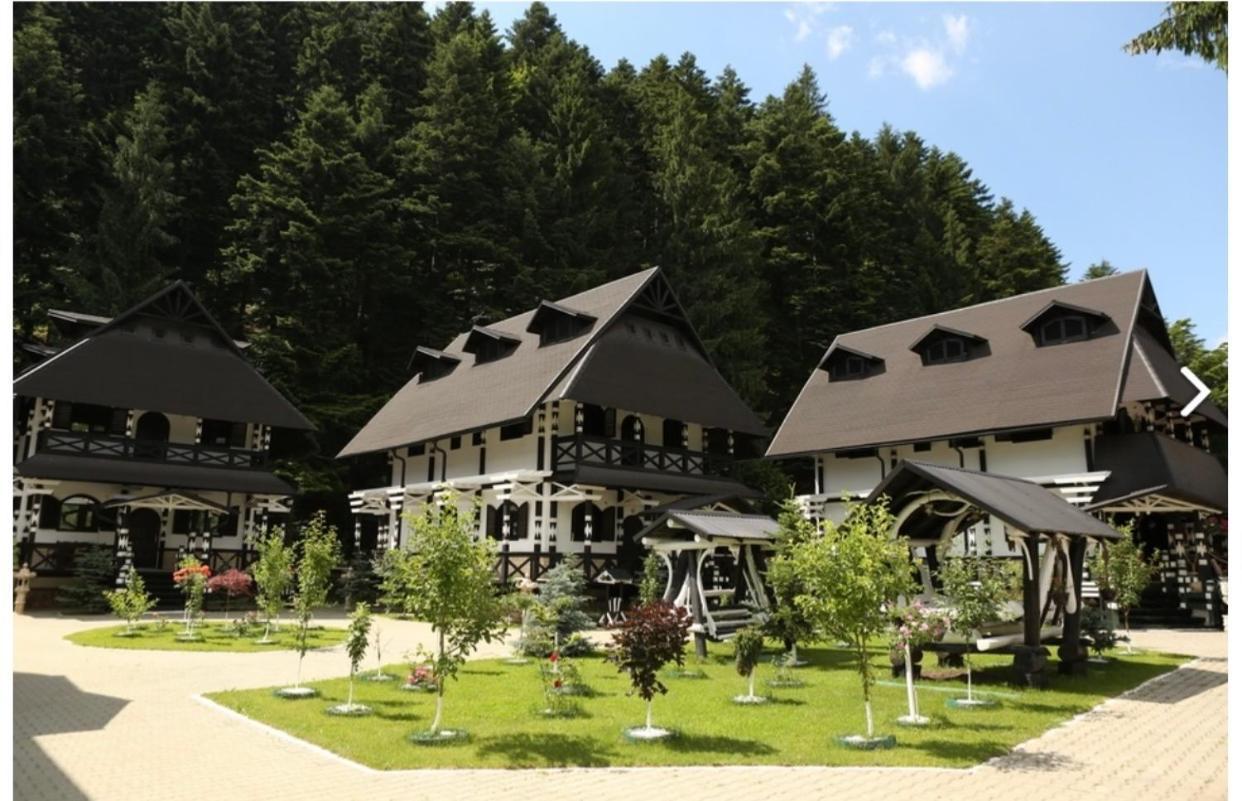 Complex Lions Bucovina Ξενοδοχείο Voronet Εξωτερικό φωτογραφία