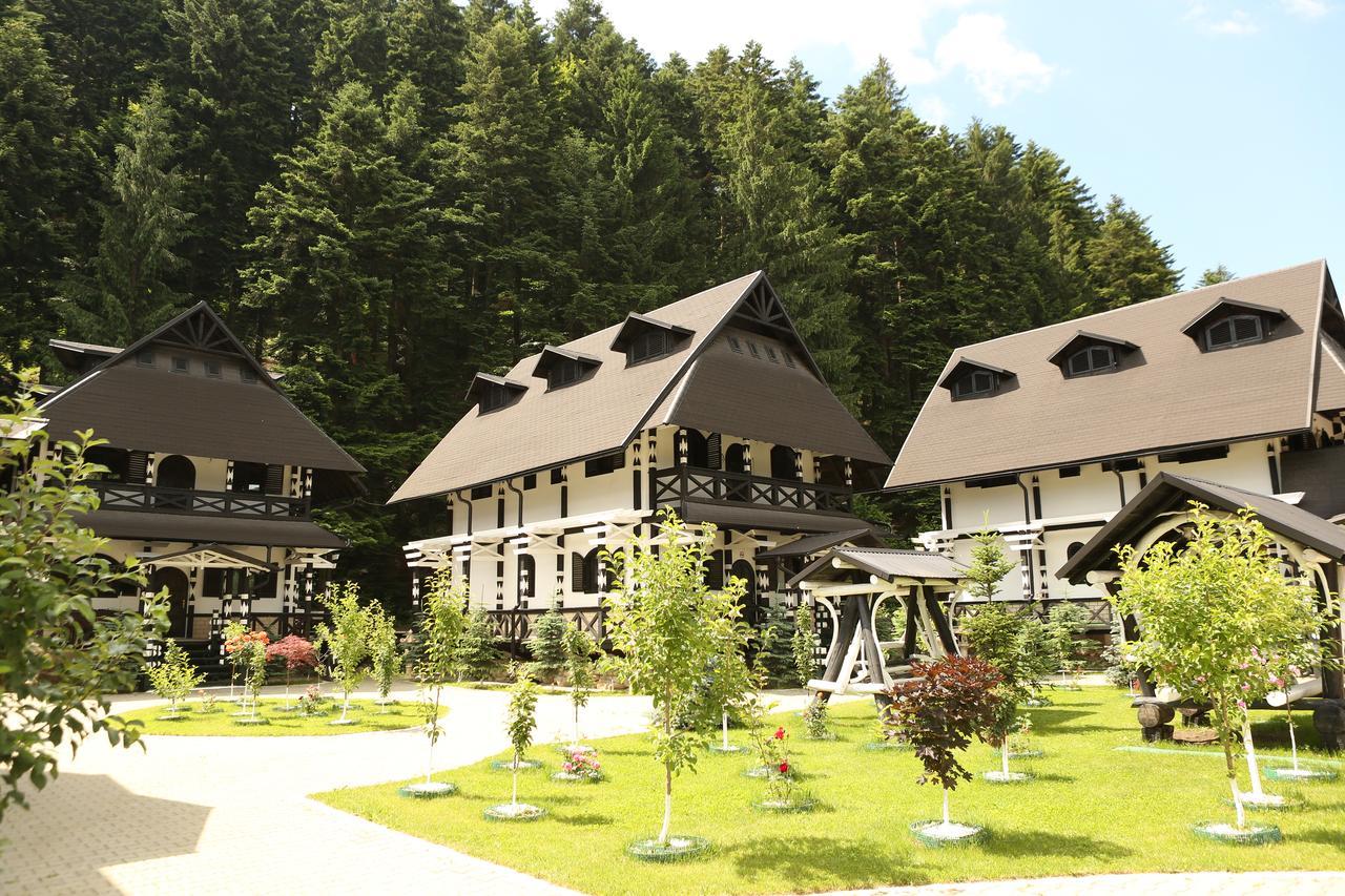 Complex Lions Bucovina Ξενοδοχείο Voronet Εξωτερικό φωτογραφία