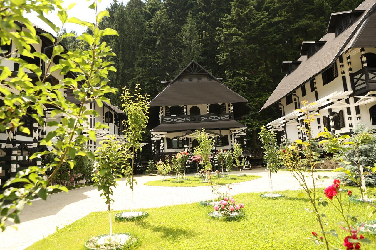Complex Lions Bucovina Ξενοδοχείο Voronet Εξωτερικό φωτογραφία