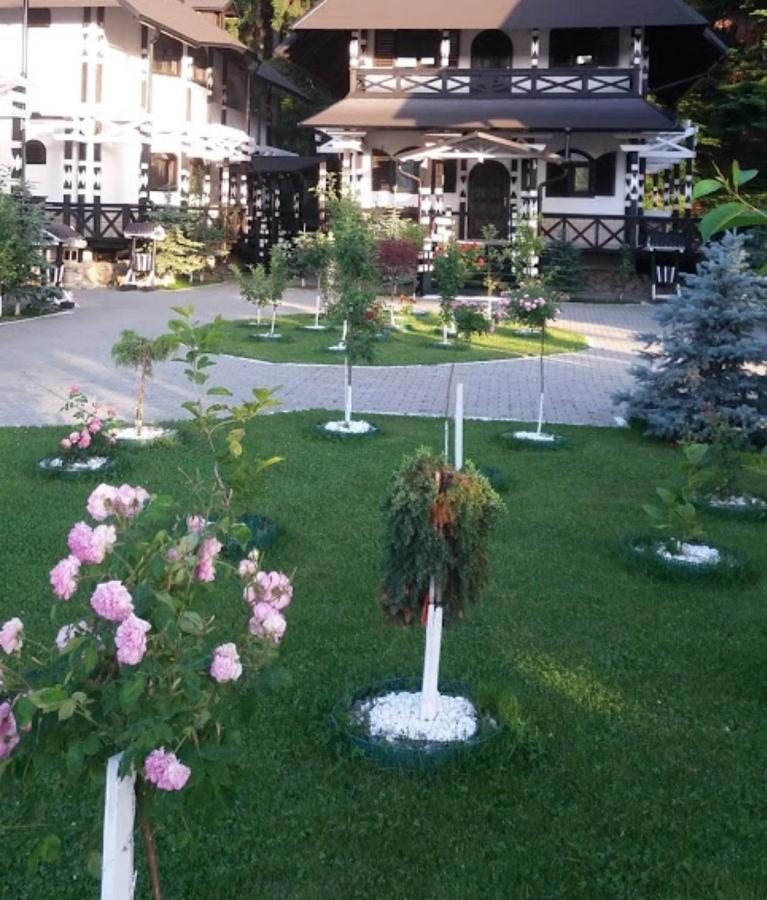 Complex Lions Bucovina Ξενοδοχείο Voronet Εξωτερικό φωτογραφία